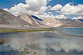  The intensely blue clear water of Pangong-Tso - Ladakh